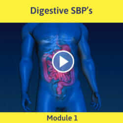 Module 1 - Digestive DBP's