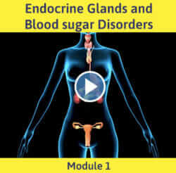 Module 1 - Endocrine Glands and Blood Sugar Disorders