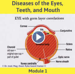 Module 1 - Diseases of the Eyes, Teeth and Mouth