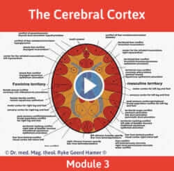 Module 3 - The Cerebral Cortex